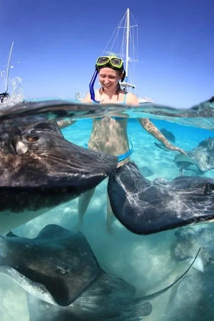A swimmer with stingrays in shallow water.